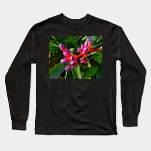 Red, Purple and Green, could this flower be more spectacular?! Long Sleeve T-Shirt